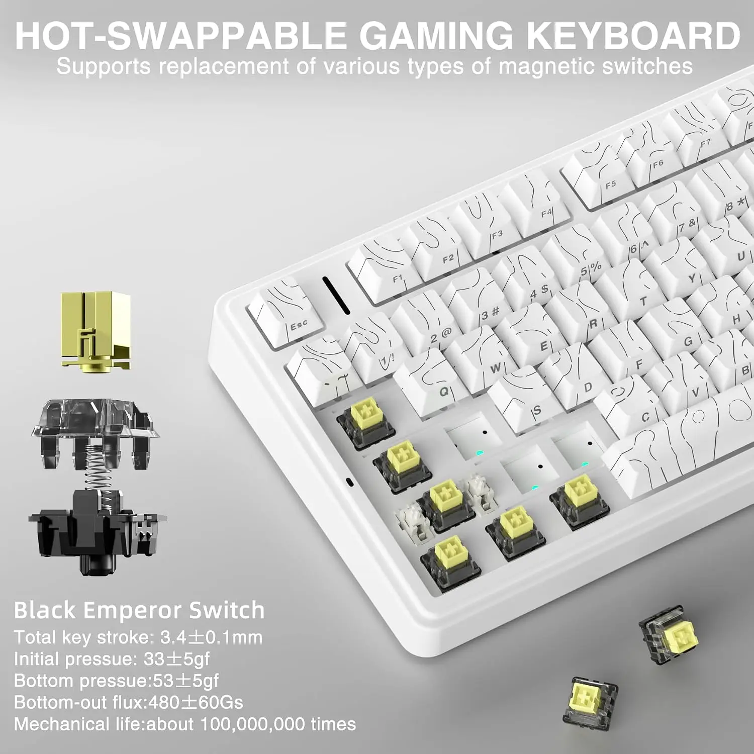 AULA F75 HE Magnetische Tastat – Pc Gaming Rgb Bewertung und Preis